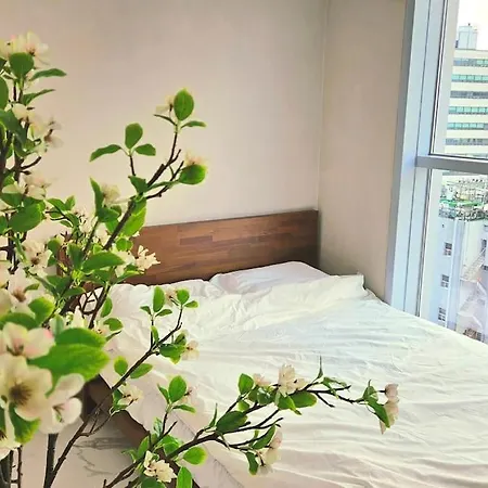 Majestic Seoul Stay Central Exterior photo